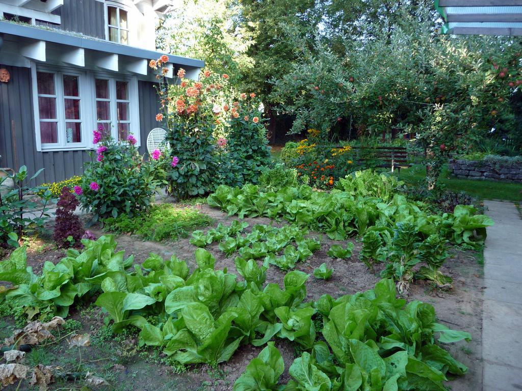 Ferienhaus Gartenlust Dierdorf Habitación foto
